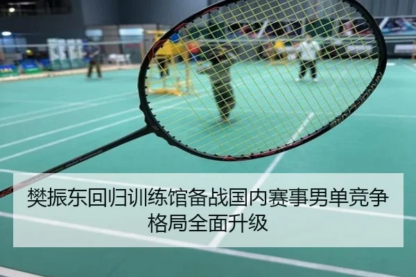 樊振东回归训练馆备战国内赛事男单竞争格局全面升级